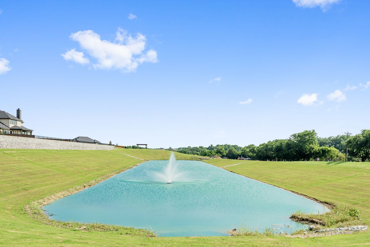 Pond