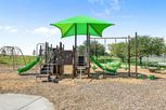 Hampton Park - Glenn Heights, TX