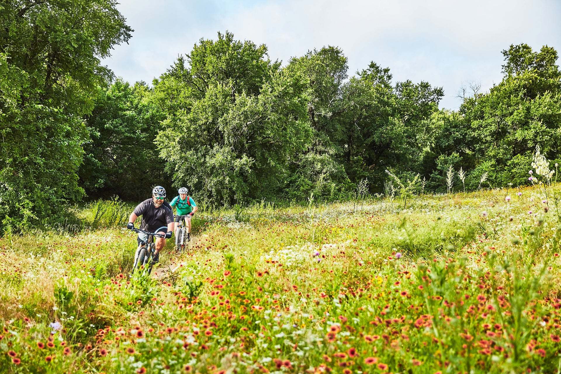 Bike Trails