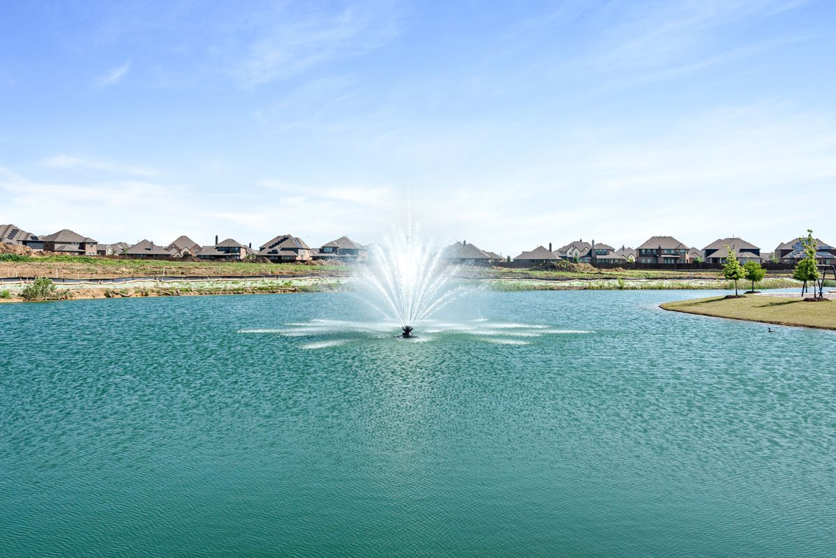Pond