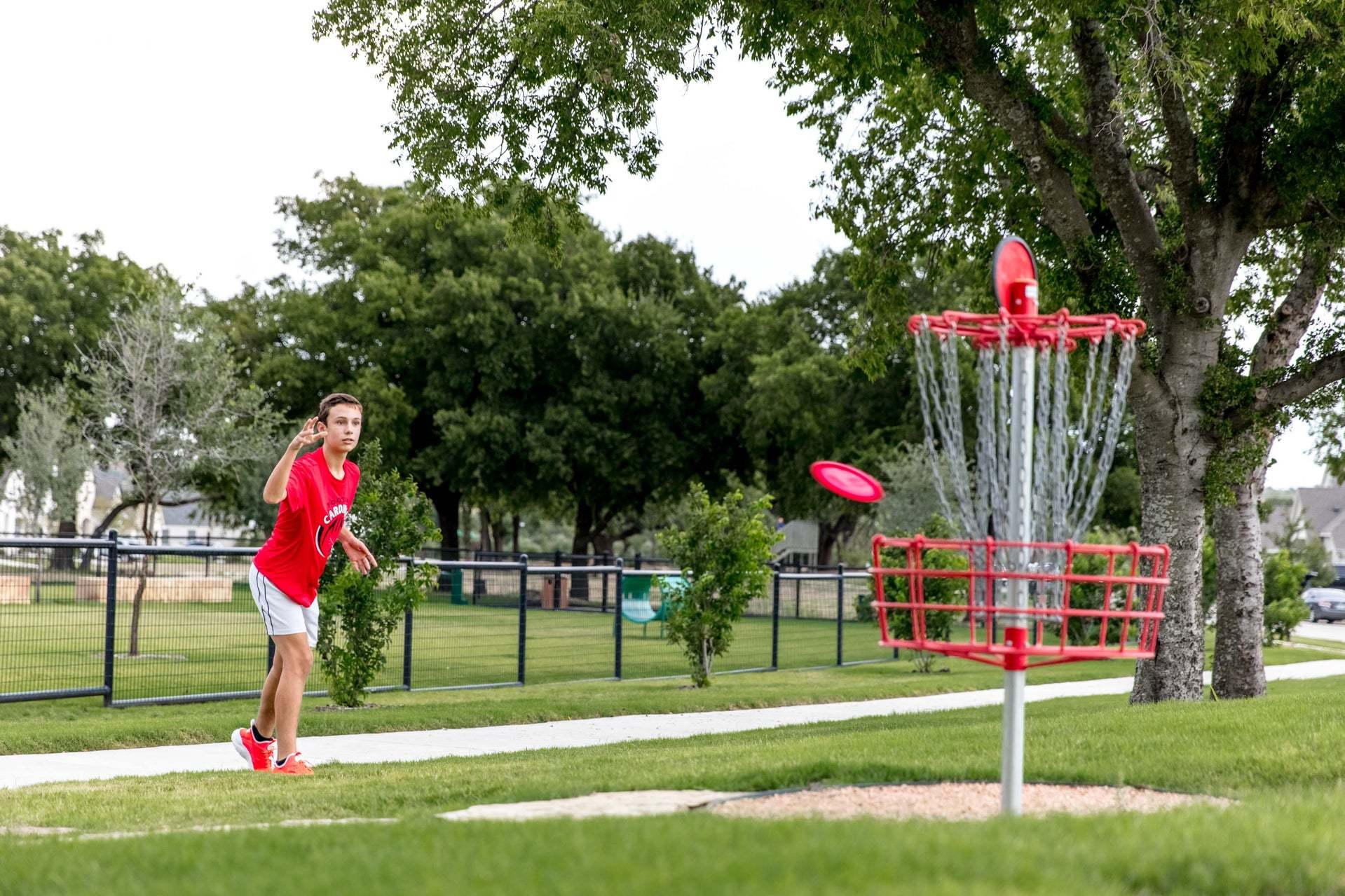 Disc Golf