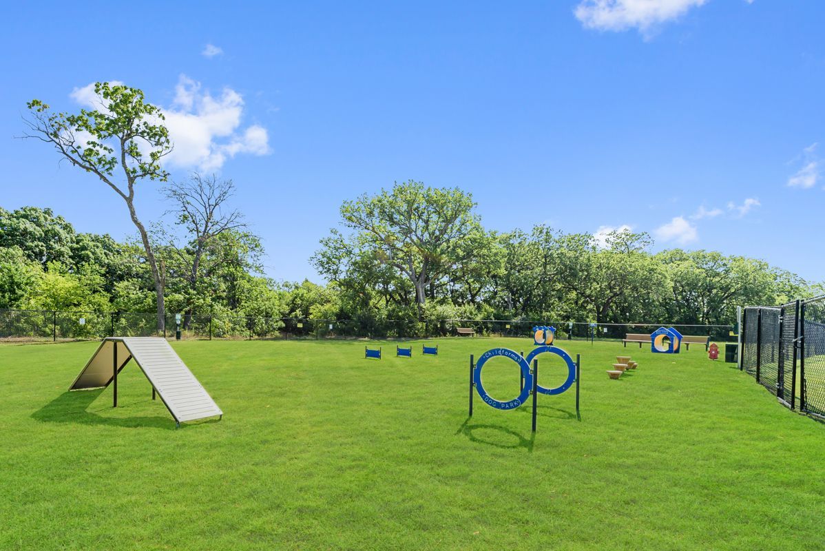 Dog Park