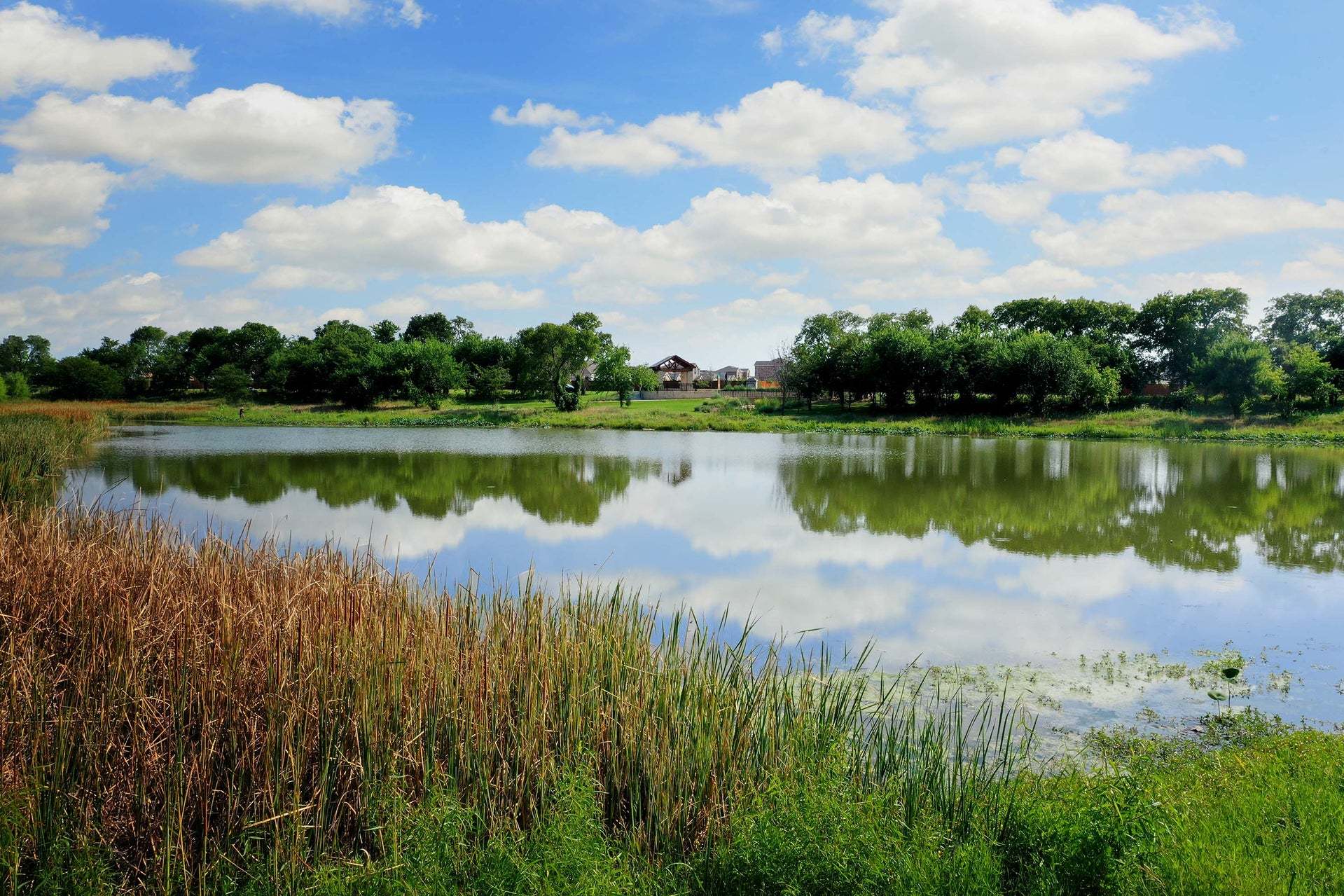 Pond Overlook
