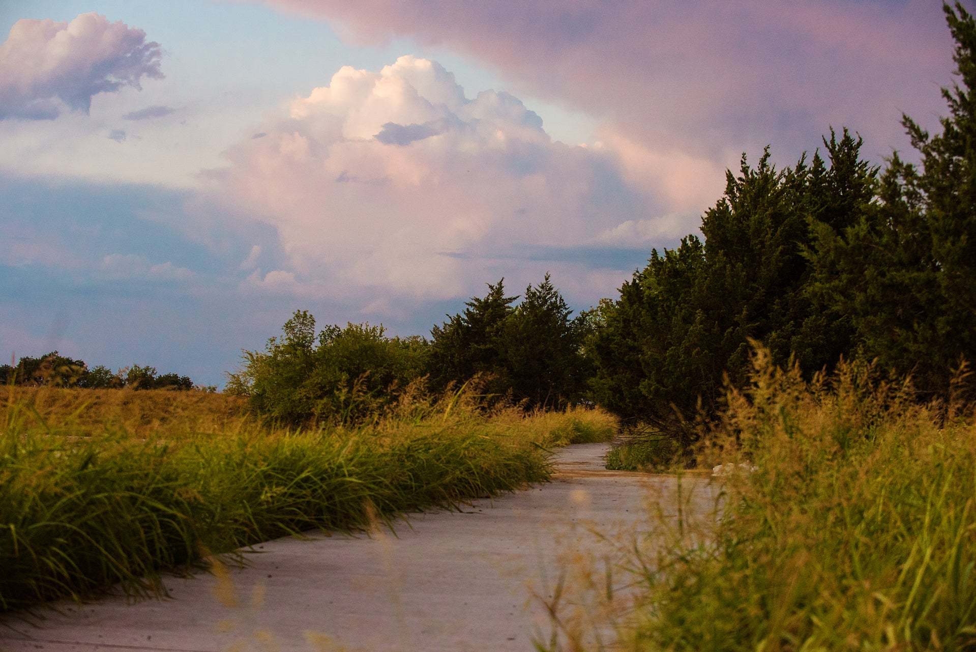 Serenity Trail