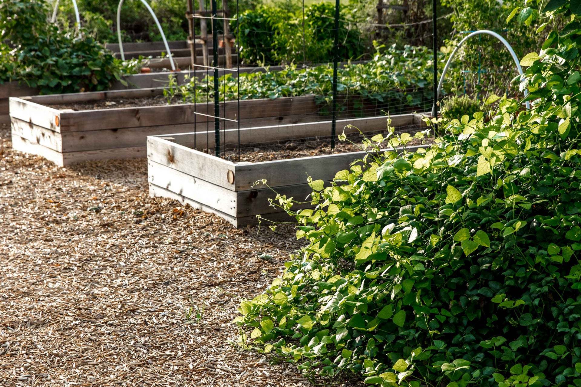 Community Garden