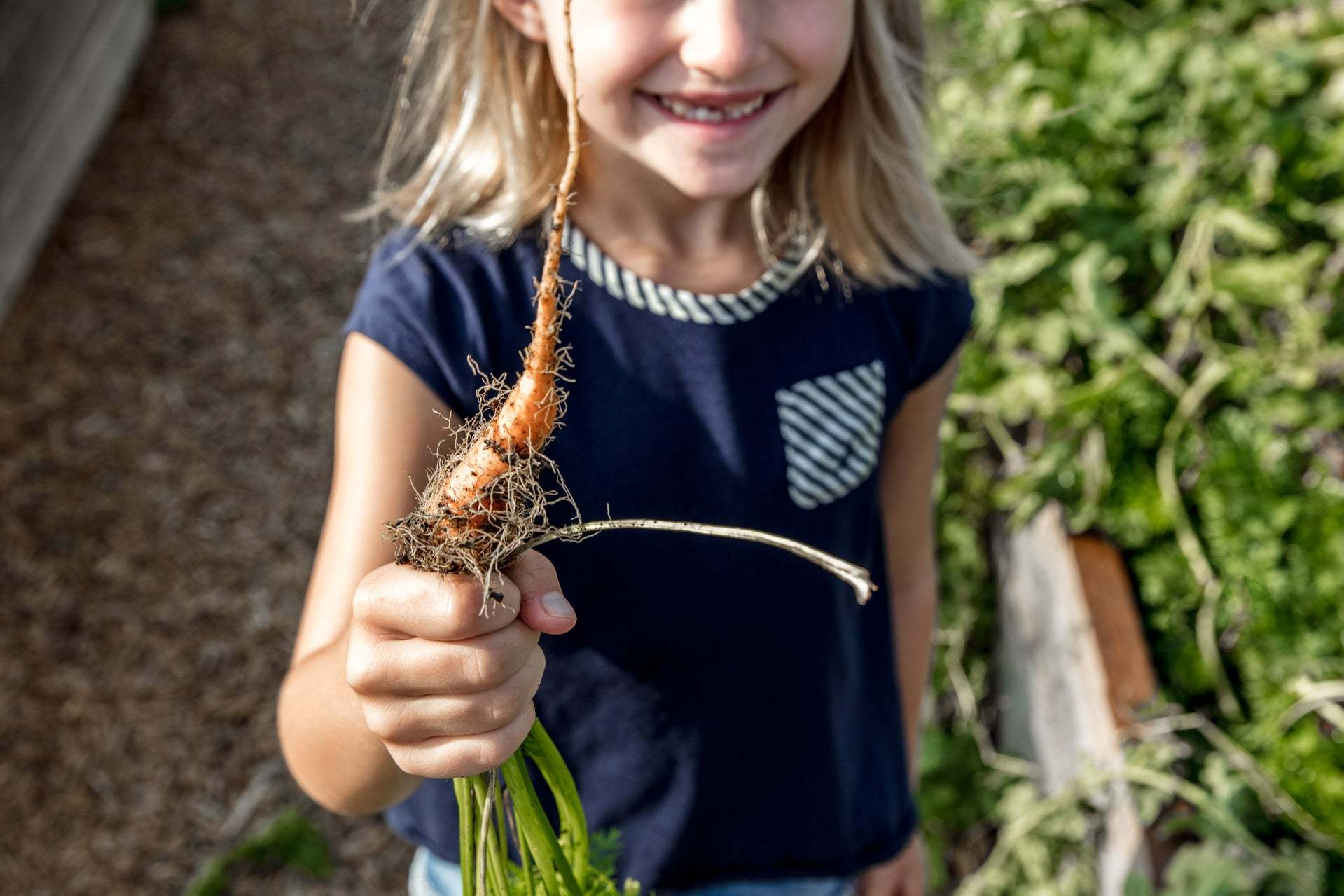 Community Garden