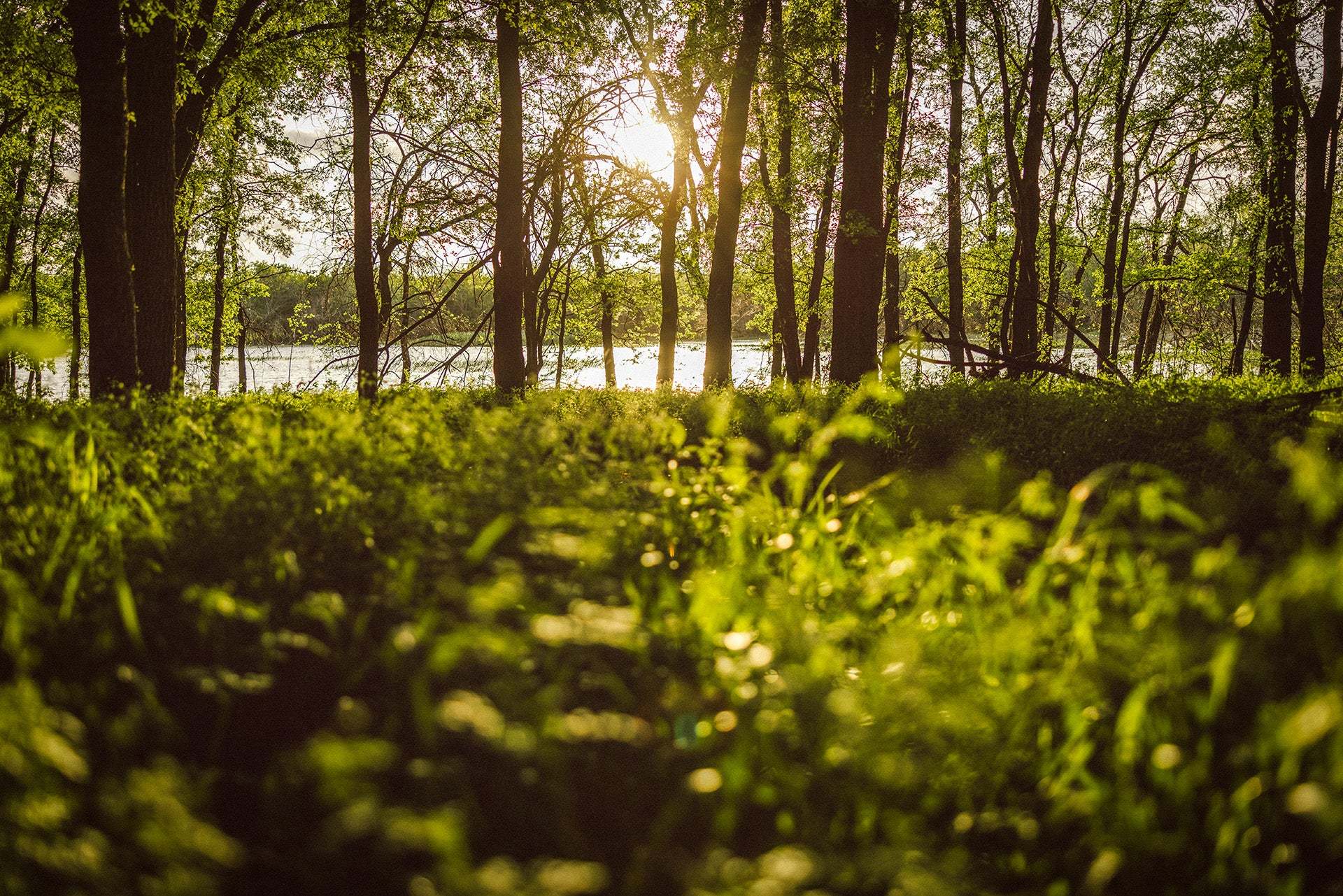 Lakeside Trail