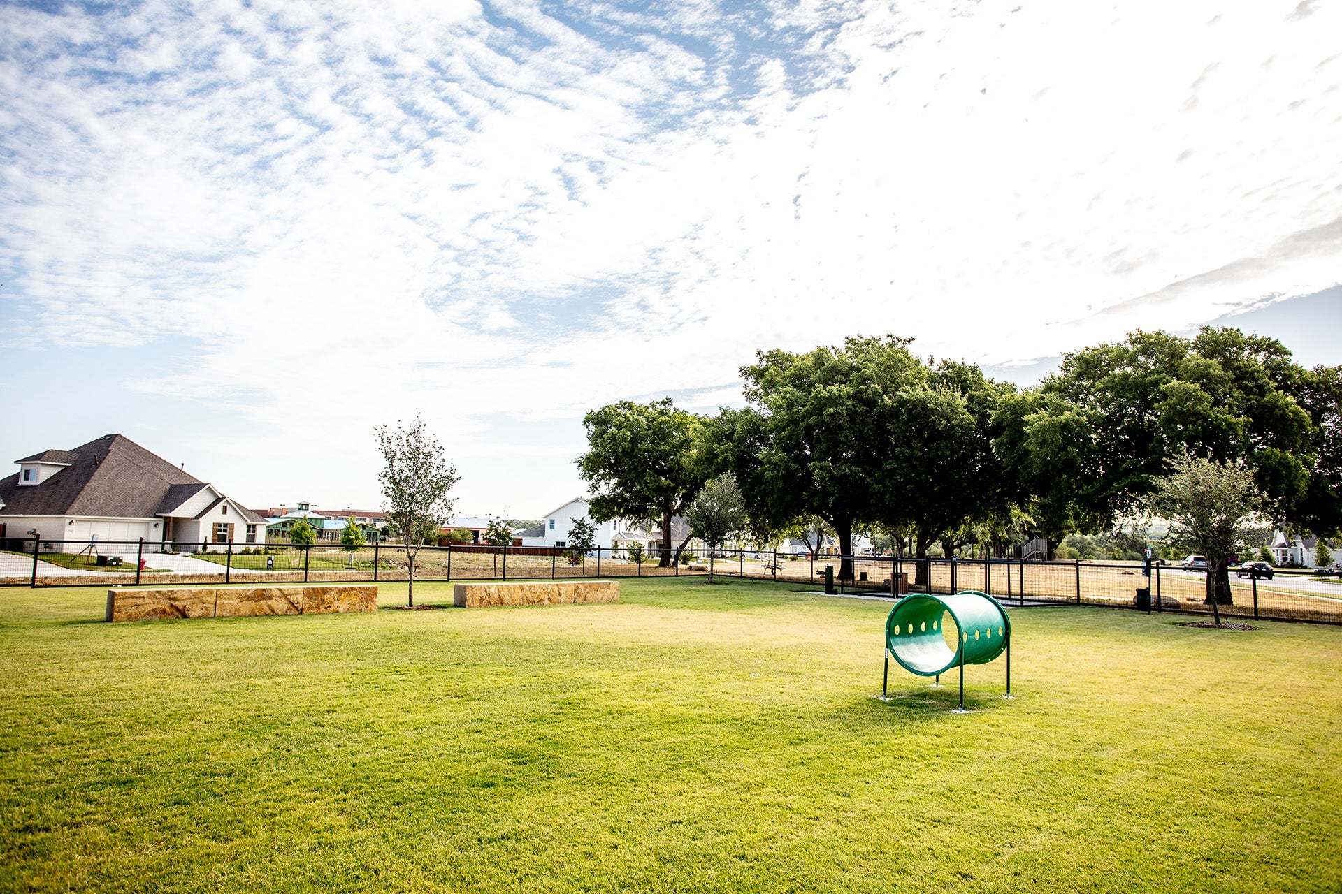 Dog Park