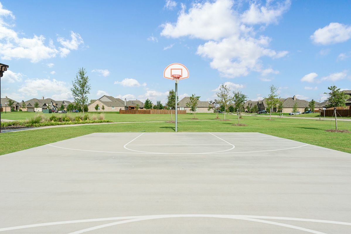 Basketball Court