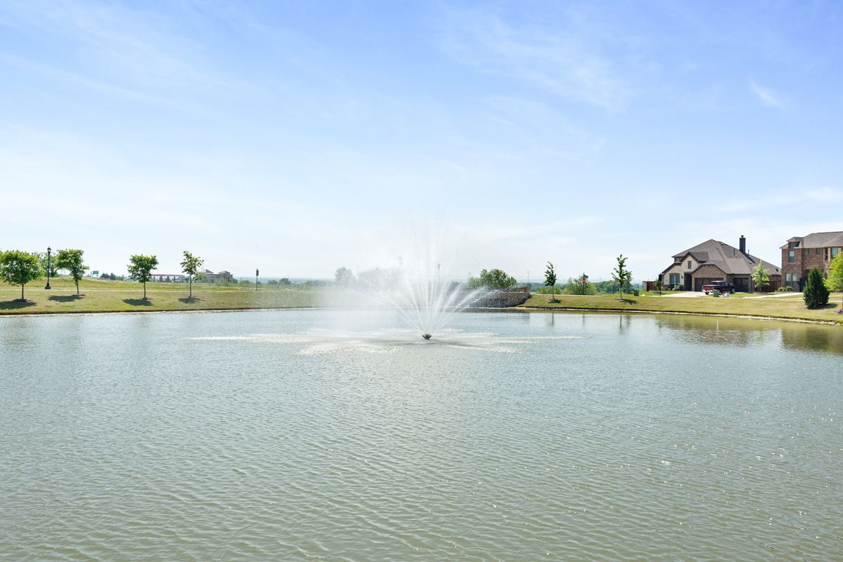 Pond
