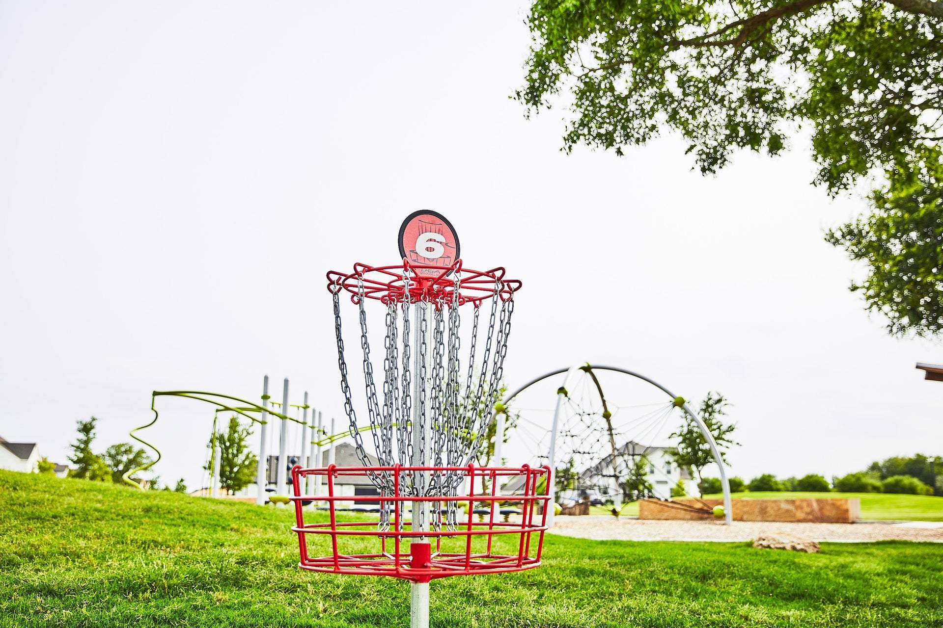 Disc Golf