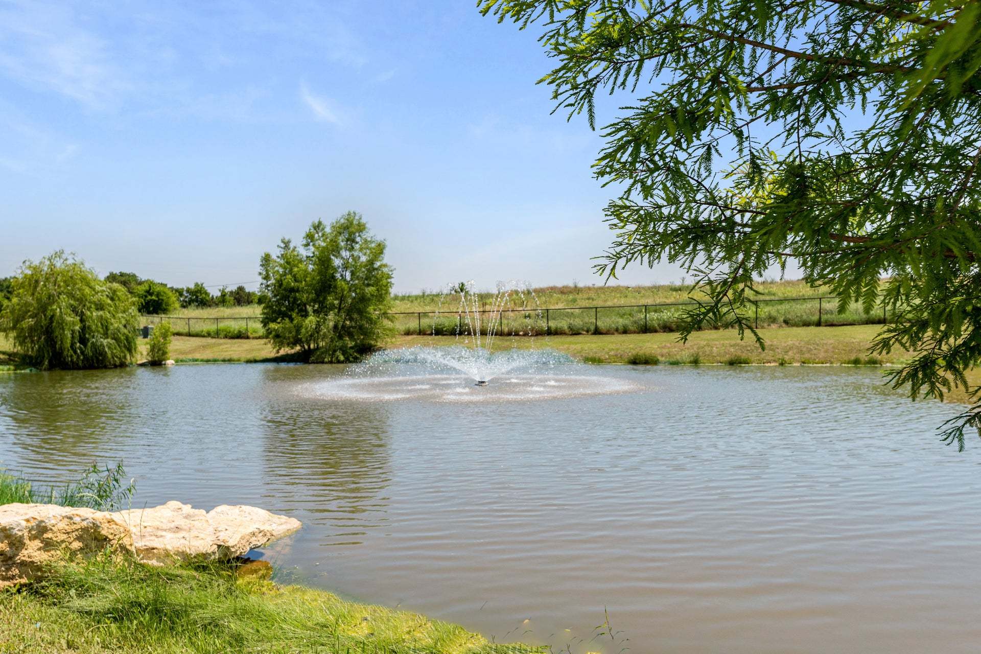 Pond
