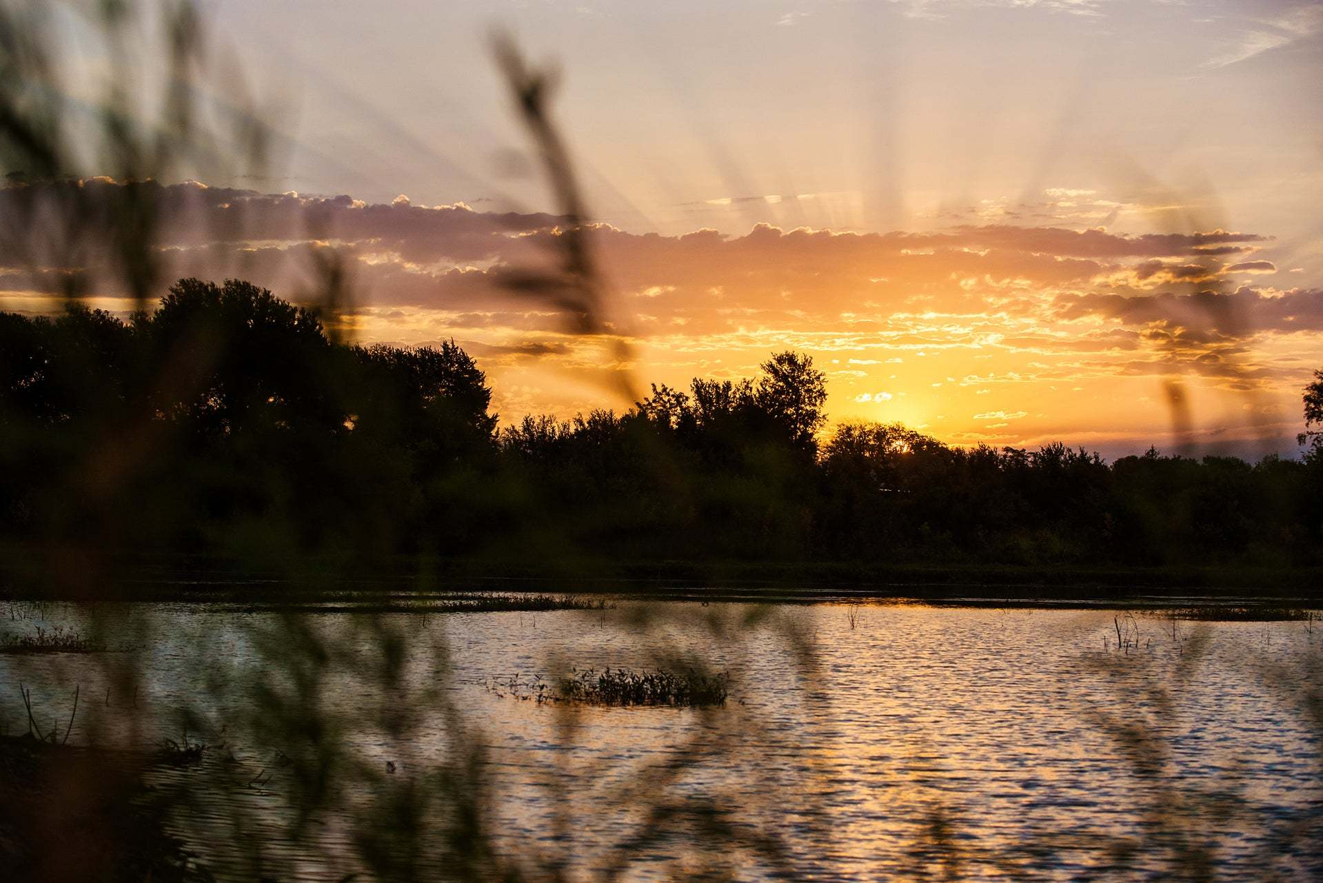 Lake
