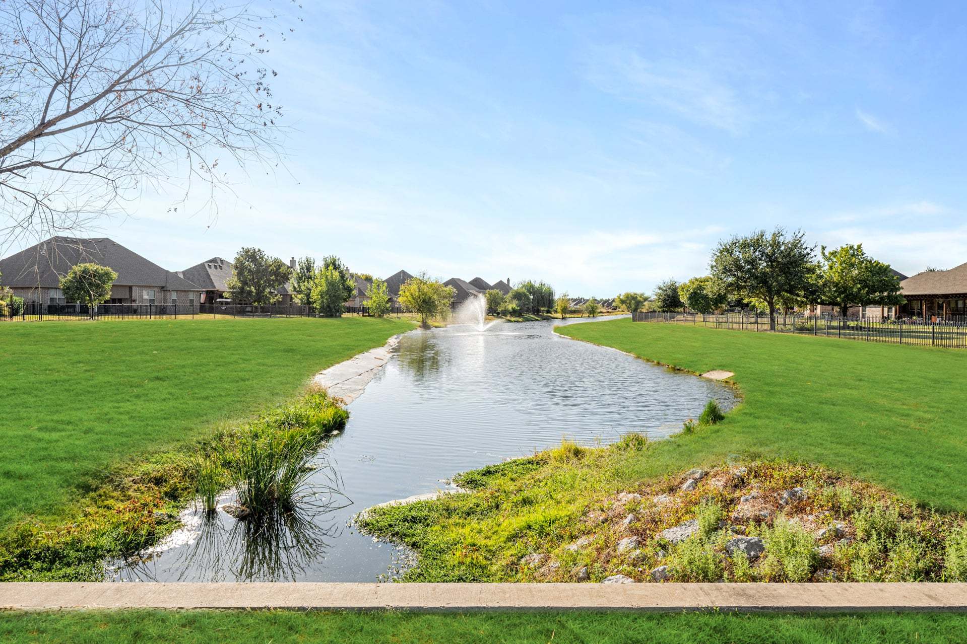 Pond