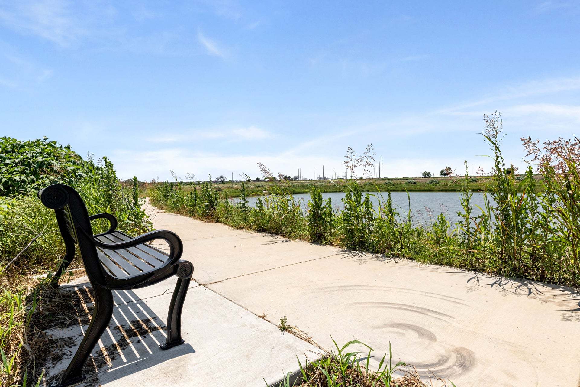 Pond Views
