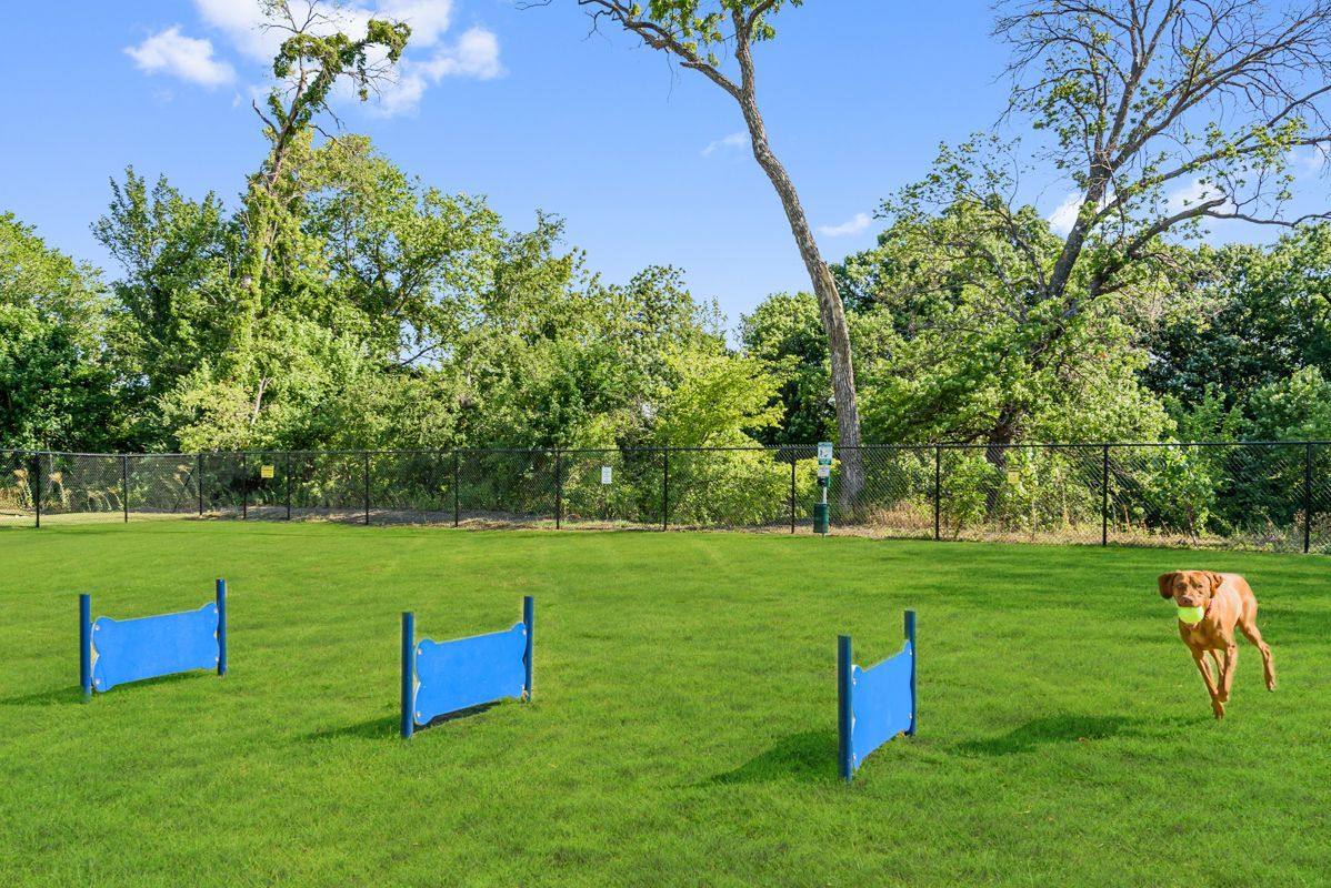 Dog Park