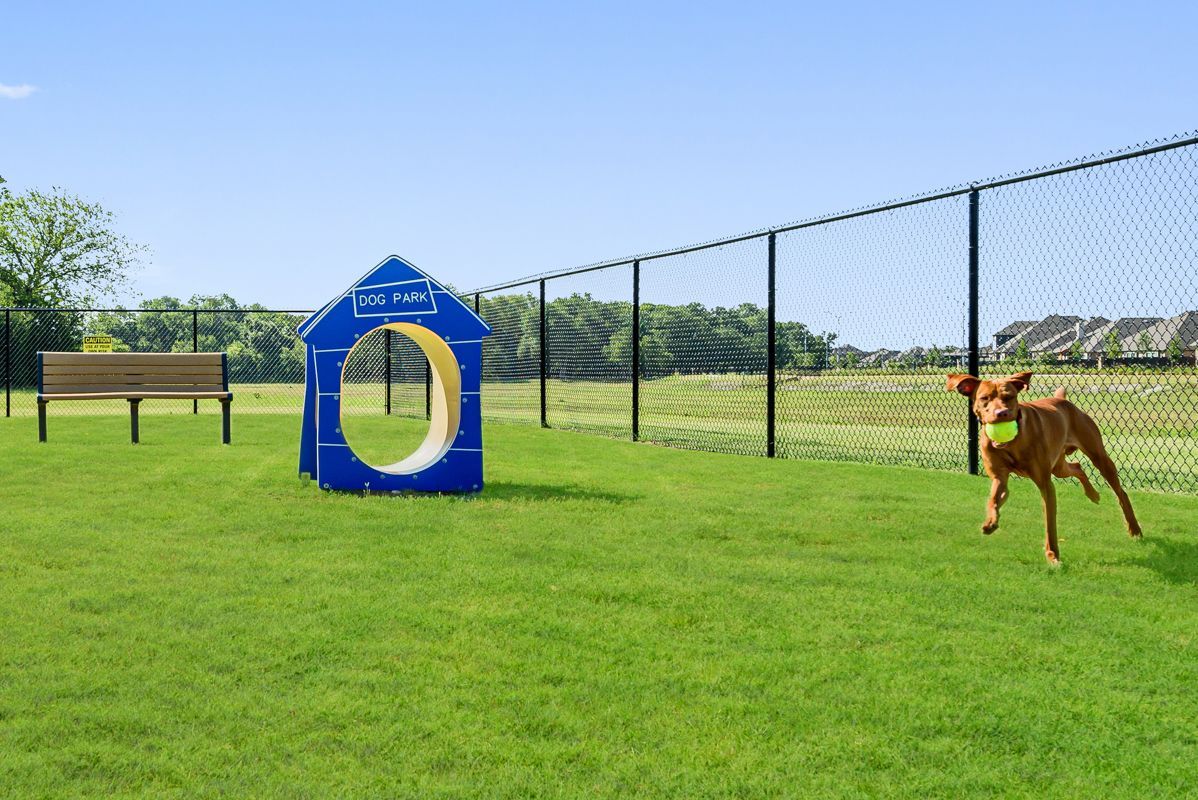 Dog Park
