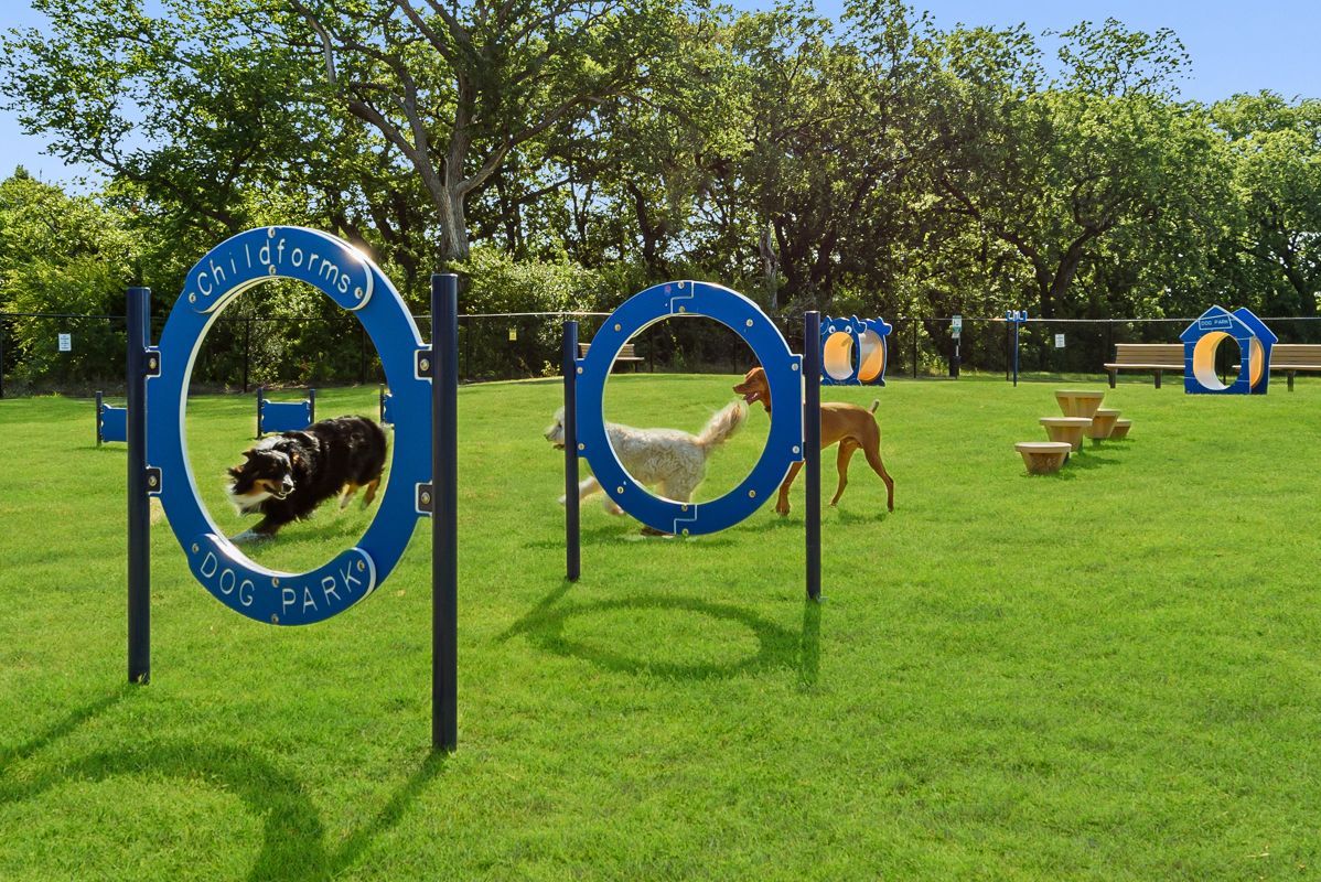 Dog Park