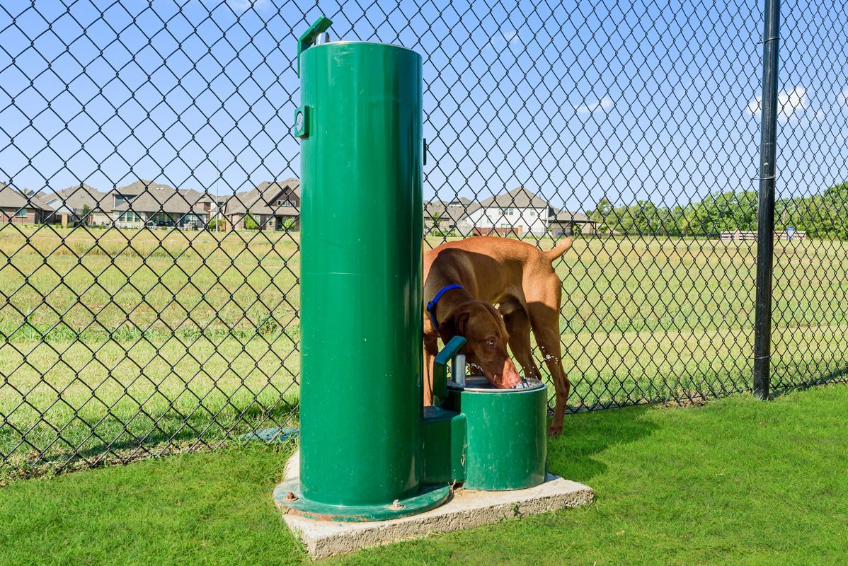 Dog Park Drinking Station