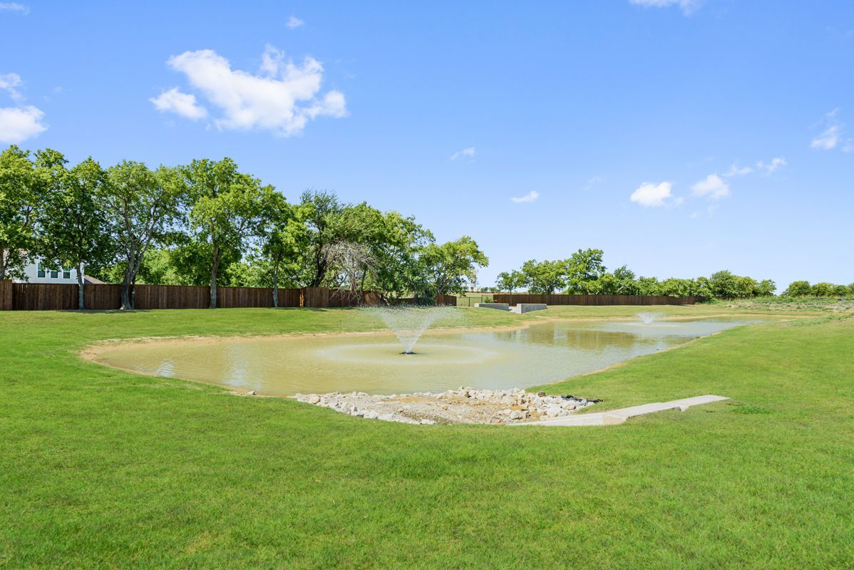 Pond