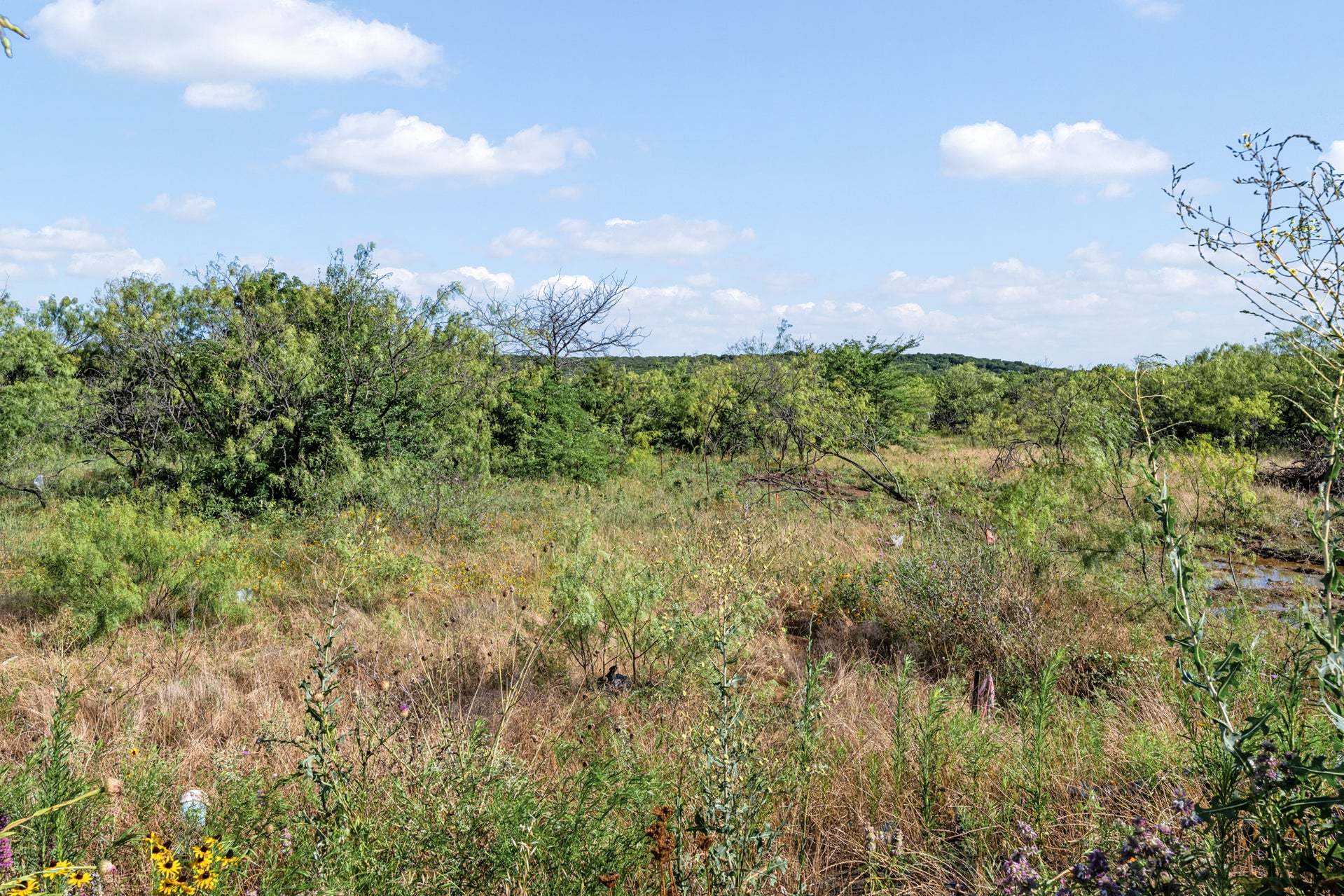 Field