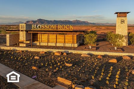 Blossom Rock - Apache Junction, AZ
