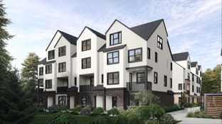 Olympic - Towns on 7th: Issaquah, Washington - Blue Fern Homes