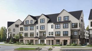Ascent - Towns on 7th: Issaquah, Washington - Blue Fern Homes