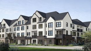 Summit - Towns on 7th: Issaquah, Washington - Blue Fern Homes