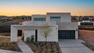 Trace - Velaris: Henderson, Nevada - Blue Heron