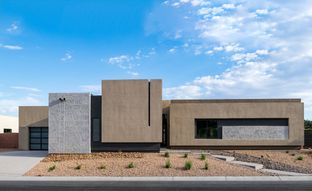 Valle - Prado: Las Vegas, Nevada - Blue Heron