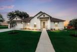 Bluebonnet Dream Homes - New Braunfels, TX