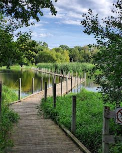 Meadow view park offers a variety of amenities such as walking trails, picnic areas, and playgrounds!