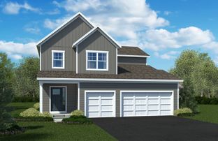 The Asher - Scenic Hills: Inver Grove Heights, Minnesota - Brandl Anderson