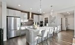 Home in Trailside on Harmony - Paired Homes by Brightland Homes