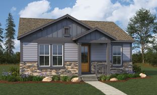 Windler - Admiral - Windler: Aurora, Colorado - Brightland Homes