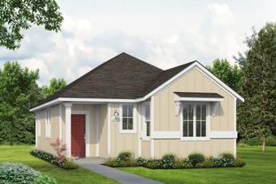 1105 Casetta - Casetta Ranch: Kyle, Texas - Brohn Homes