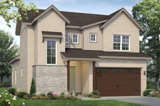 Cross Creek 2311 - Cross Creek: Cedar Park, Texas - Brohn Homes