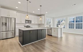 Single Family Homes Collection at Lakeside at Trappe - Trappe, MD