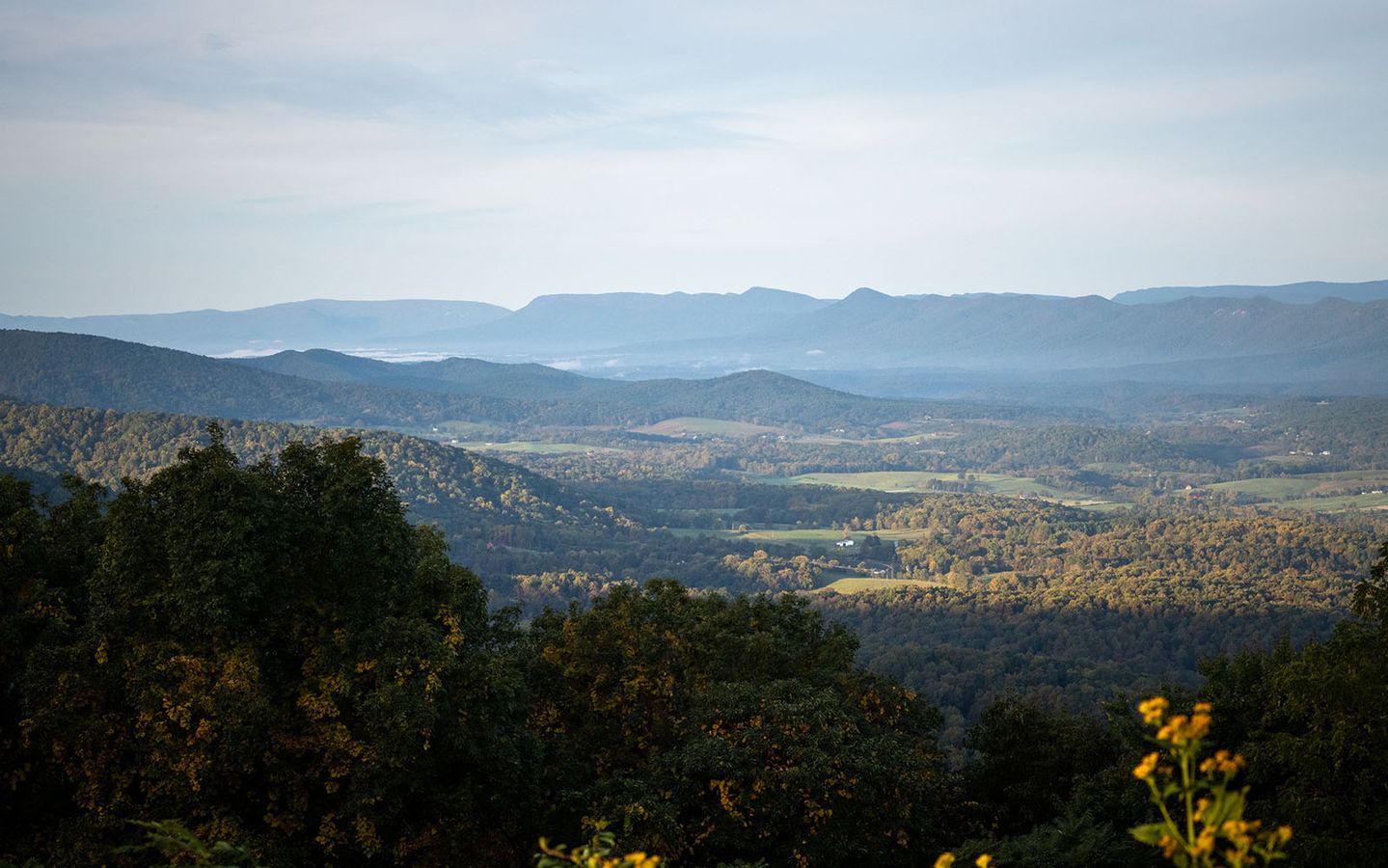 Shenandoah National Park near Snowden Bridge in Stephenson, VA