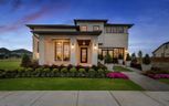 55' Traditional Homes Collection at The Grove Frisco - Frisco, TX