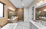 55' Traditional Homes Collection at The Grove Frisco - Frisco, TX