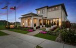 55' Traditional Homes Collection at The Grove Frisco - Frisco, TX