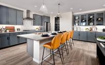 Mariposa at Blossom Rock por Brookfield Residential en Phoenix-Mesa Arizona