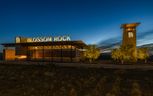 Laurel at Blossom Rock - Apache Junction, AZ
