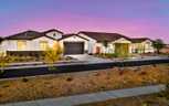 Mariposa at Blossom Rock - Apache Junction, AZ