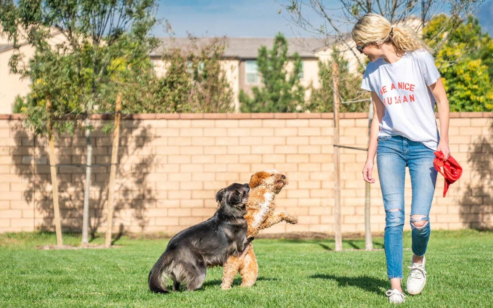 The gated dog park, Paws Park, within the New Haven community.
