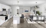 55+ Lifestyle Collection at Cascades at Embrey Mill - Stafford, VA