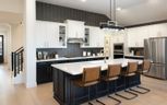 50' Traditional Homes at Elyson - Katy, TX