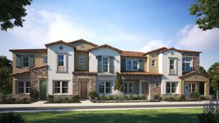 Felice Plan 2 - The Terraces at Walnut: Walnut, California - CBC Home